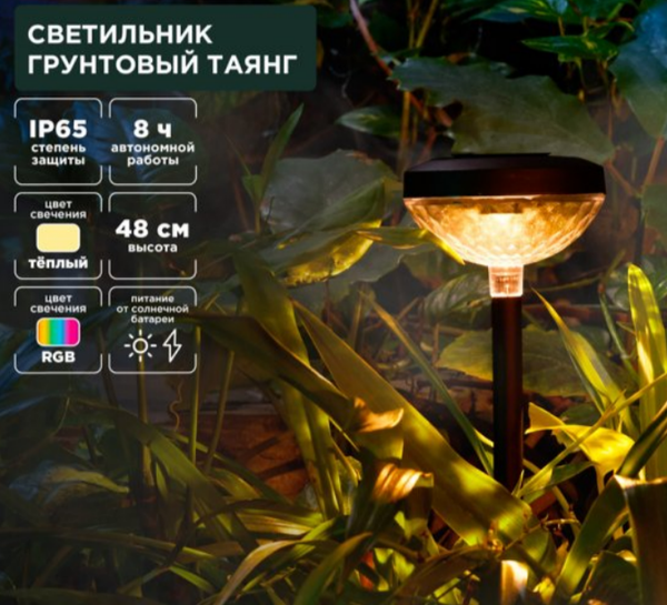 Изображение товара Светильник уличный Rexant 602-2429