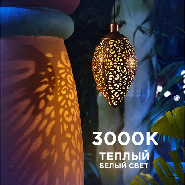 Изображение товара Светильник уличный Rexant 602-2402