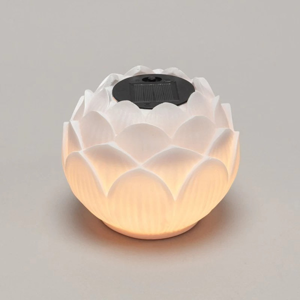 Изображение товара Светильник уличный Rexant 602-2431