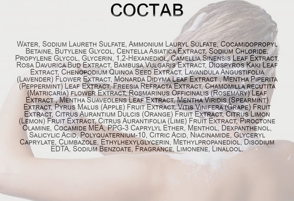 Изображение товара Шампунь для волос Dr.SEED Pepper mint & Lemon Vegan Dandruff Care Cool Anti Hairloss (1л)