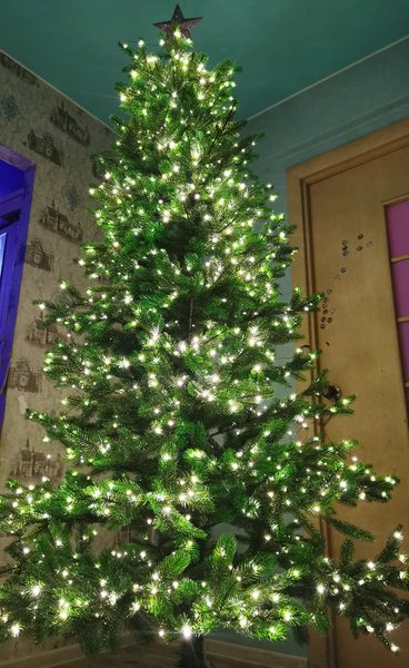 Изображение товара Ель искусственная National Tree Company Королевская / КРЛ-220 (220см)