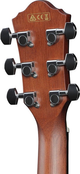 Изображение товара Электроакустическая гитара Ibanez AEWC11-DVS