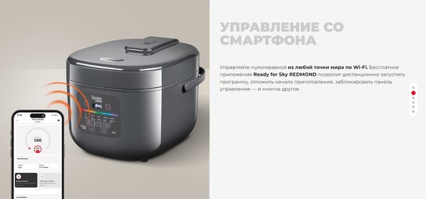 Изображение товара Мультиварка Redmond MC100S (серый)
