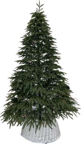 Изображение товара Ель искусственная Смерека Сказка / СМ-25СК (250см)