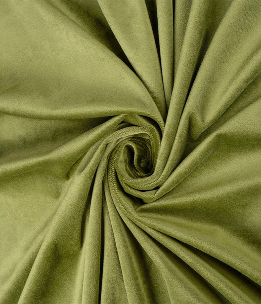 Изображение товара Штора LEGRAND Велюр 150x260 / 58136933 (хаки)