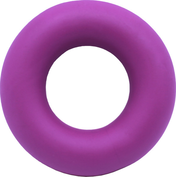 Изображение товара Эспандер PROFITNESSLAB 13890 (5кг, фиолетовый)