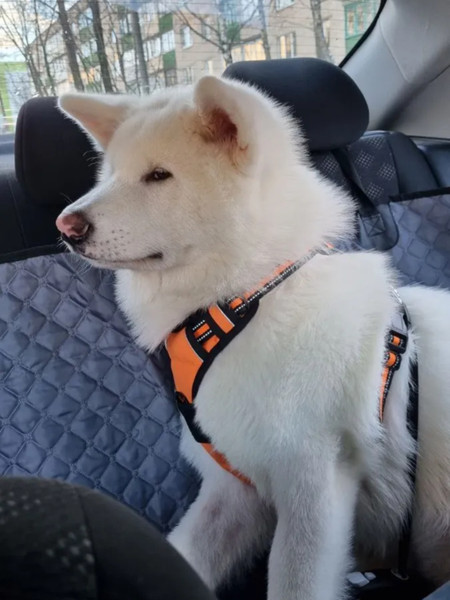 Изображение товара Чехол на сиденье для собак MATEX Autodog. Автогамак / 56-065 (темно-серый)