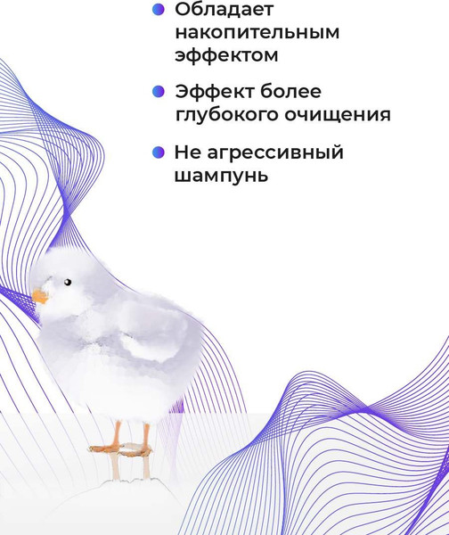 Изображение товара Набор косметики для волос Hair Sekta Оттеночный шампунь Cipa+Тонирующий кондиционер Cipa (500+500мл)