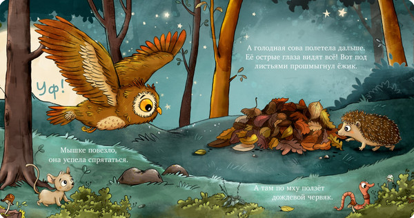 Изображение товара Книга CLEVER Книжки-картонки. Совушка в лесу твердая обложка (Гримм Сандра)