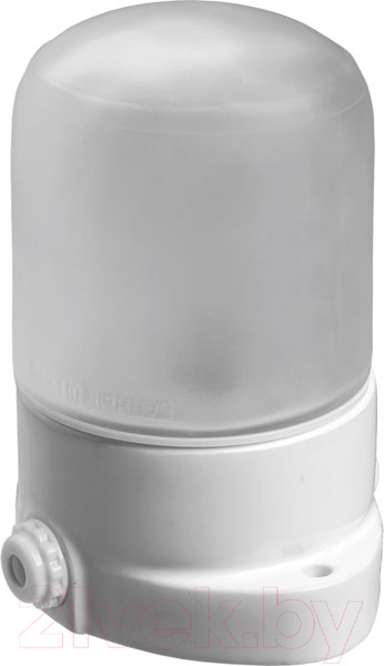 Изображение товара Светильник ЖКХ Банные Штучки 14501