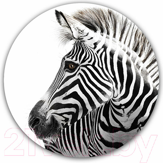 Изображение товара Картина на стекле Orlix Зебра / GL-01089