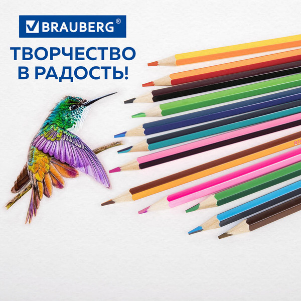 Изображение товара Набор цветных карандашей Brauberg Bicolour / 181855 (24цв)