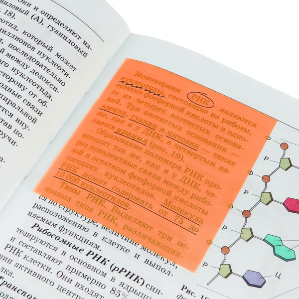 Изображение товара Блок для записей Brauberg Multi Colour / 115208 (100л)