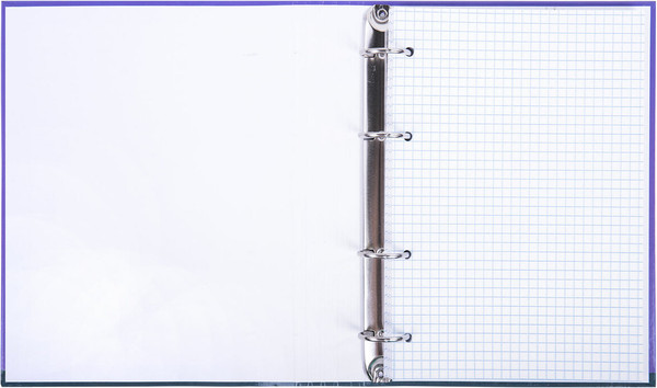 Изображение товара Тетрадь Brauberg Monocolor / 404716 (120л)