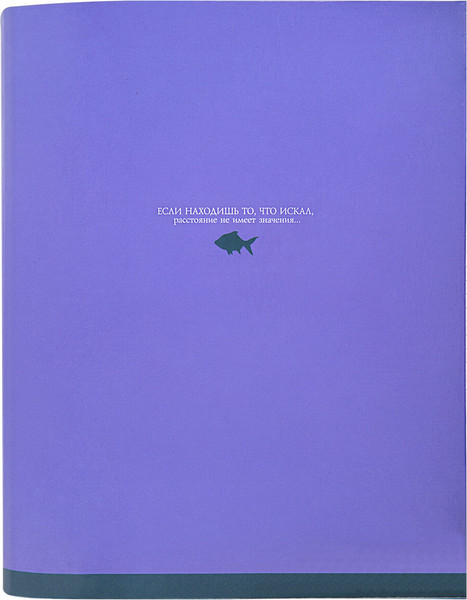 Изображение товара Тетрадь Brauberg Monocolor / 404716 (120л)