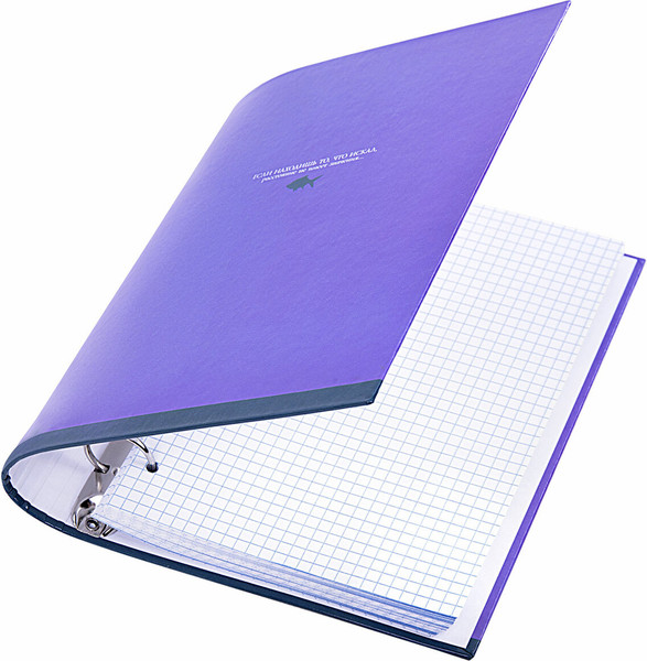 Изображение товара Тетрадь Brauberg Monocolor / 404716 (120л)