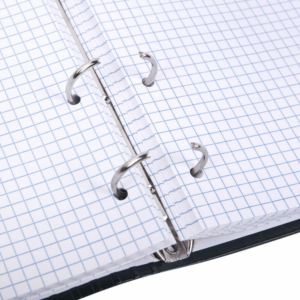 Изображение товара Тетрадь Brauberg Classic / 404718 (120л)