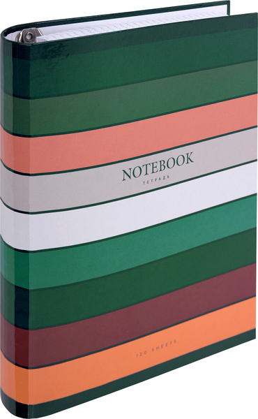 Изображение товара Тетрадь Brauberg Classic / 404718 (120л)