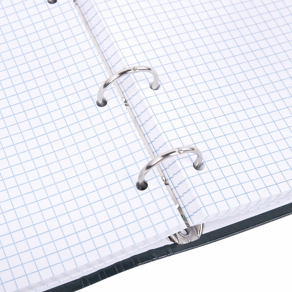 Изображение товара Тетрадь Brauberg Classic / 404718 (120л)