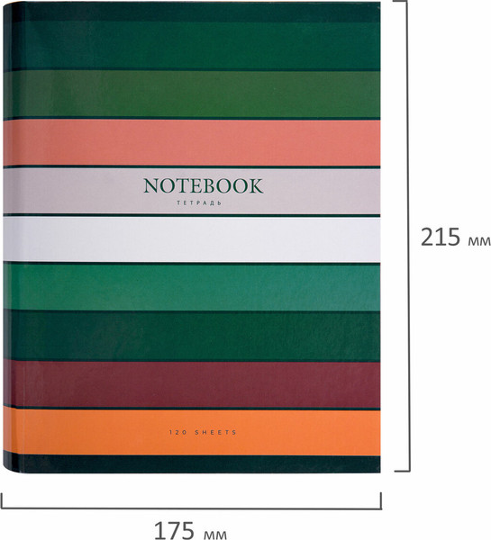 Изображение товара Тетрадь Brauberg Classic / 404718 (120л)