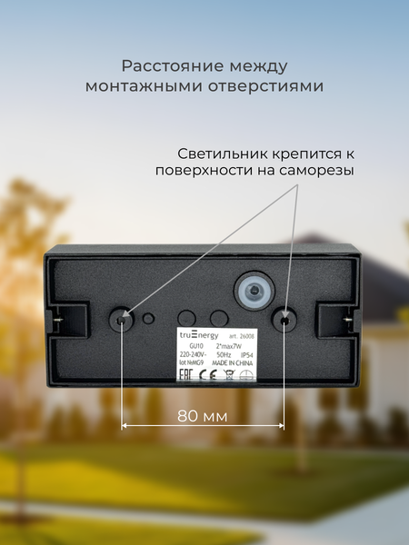 Изображение товара Бра уличное Truenergy 26008