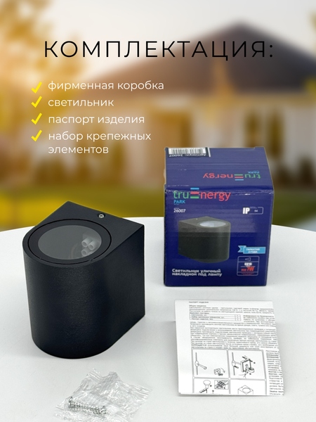 Изображение товара Светильник уличный Truenergy 26007