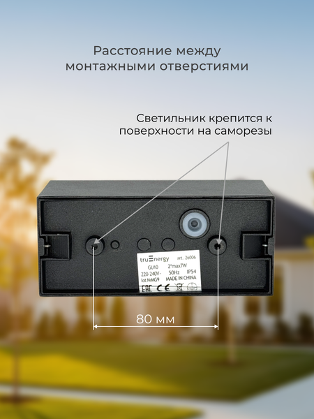 Изображение товара Бра уличное Truenergy 26006