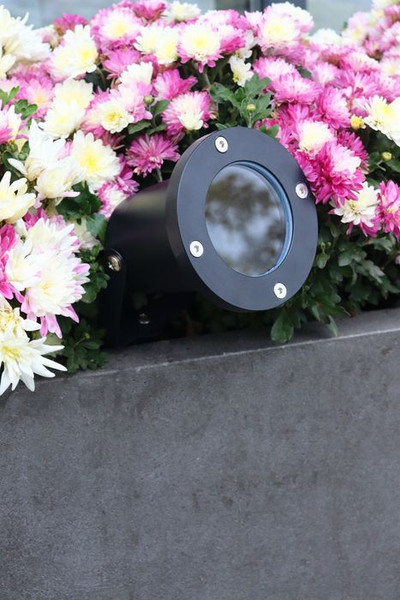 Изображение товара Светильник уличный Truenergy 26200