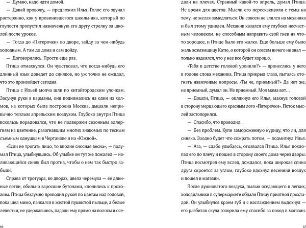 Изображение товара Книга Альпина Птица, мягкая обложка (Власенко Ольга)