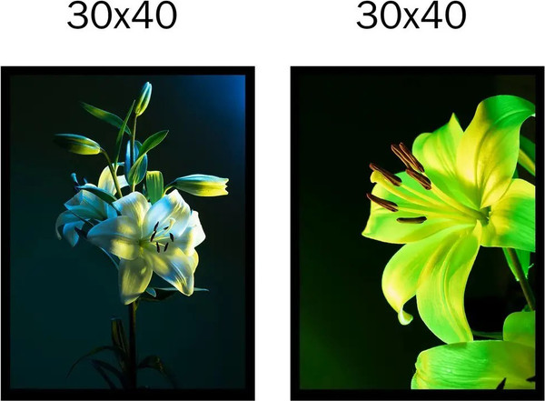 Изображение товара Постеры Citydecor Цветы 16 (2шт, 30x40)