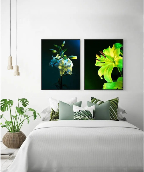 Изображение товара Постеры Citydecor Цветы 16 (2шт, 30x40)