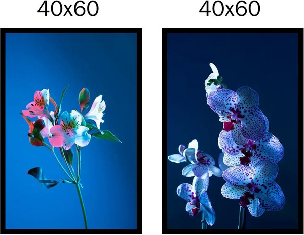 Изображение товара Постеры Citydecor Цветы 18 (2шт, 40x60)