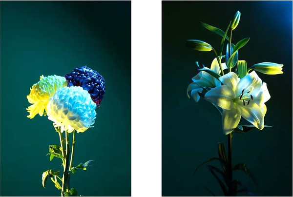 Изображение товара Постеры Citydecor Цветы 15 (2шт, 40x60)