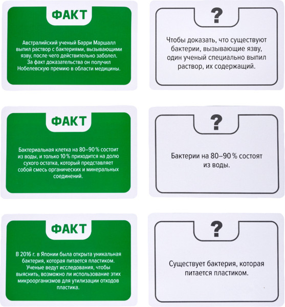 Изображение товара Настольная игра Десятое королевство Факт или фейк? Загадки микромира / 05413