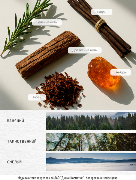 Изображение товара Духи Dilis Niche Collection Black Smoke (50мл)