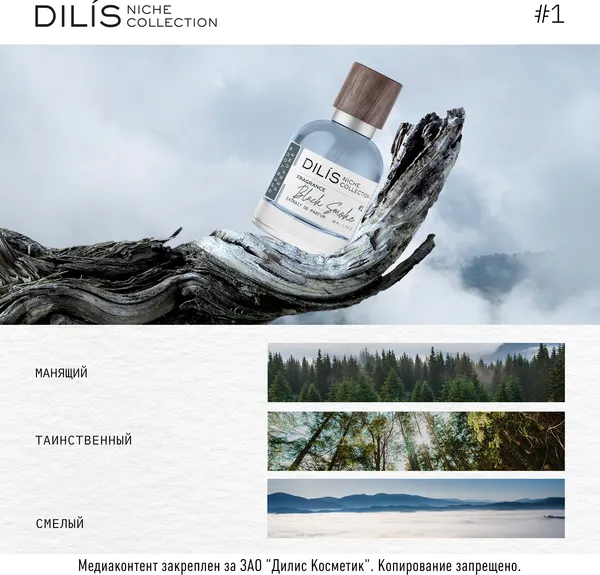 Изображение товара Духи Dilis Niche Collection Black Smoke (50мл)