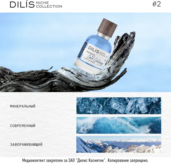 Изображение товара Духи Dilis Niche Collection Cold Galaxy (50мл)