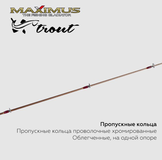 Изображение товара Удилище MAXIMUS Long Hand 382m Trout 0.95м 30гр / MIRLHT382M