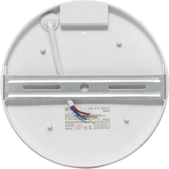 Изображение товара Светильник ЖКХ EKF BKL-2100DI-R-12-4000