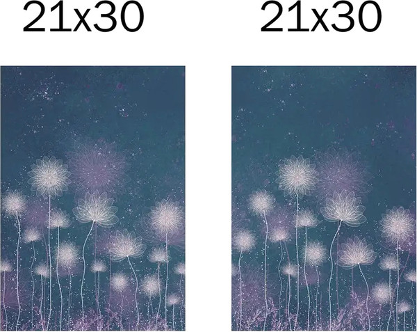 Изображение товара Постеры Citydecor Невесомость 27 (2шт, 21x30)