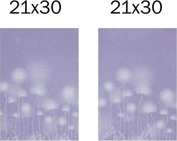 Изображение товара Постеры Citydecor Невесомость 29 (2шт, 21x30)