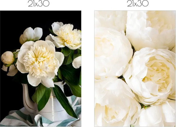 Изображение товара Постеры Citydecor Пионы 6 (2шт, 21x30)