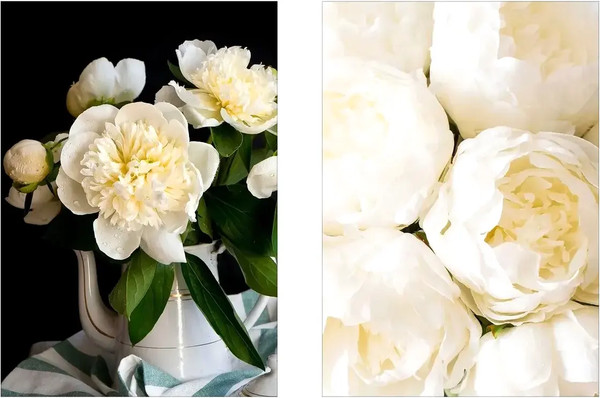 Изображение товара Постеры Citydecor Пионы 6 (2шт, 21x30)