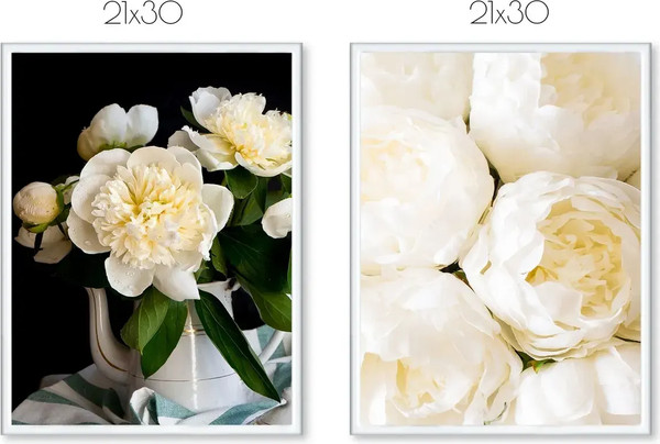 Изображение товара Постеры Citydecor Пионы 6 (2шт, 21x30)