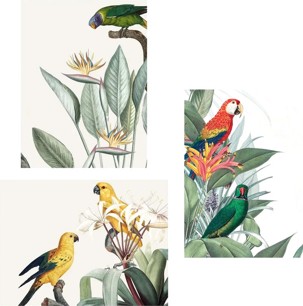 Изображение товара Постеры Citydecor Попугайчики 2 (3шт, 21x30)