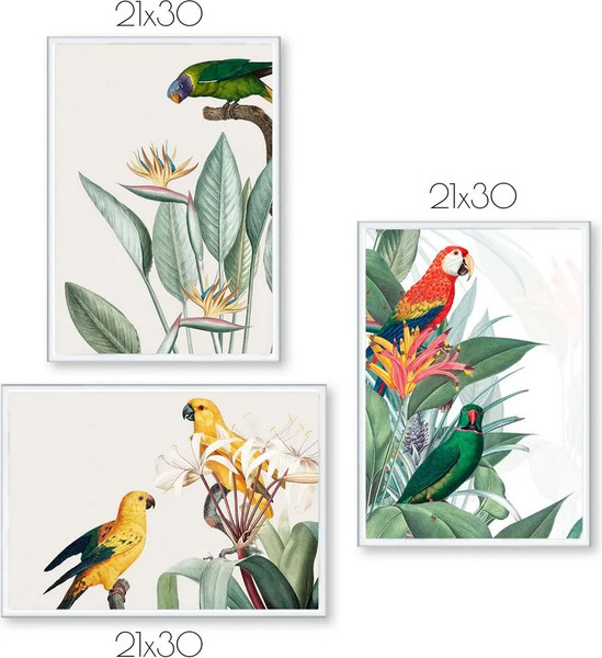 Изображение товара Постеры Citydecor Попугайчики 2 (3шт, 21x30)