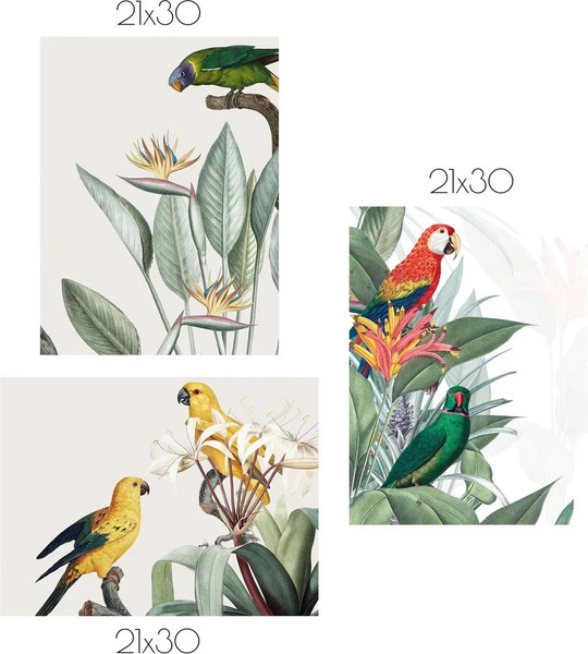Изображение товара Постеры Citydecor Попугайчики 2 (3шт, 21x30)