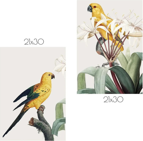 Изображение товара Постеры Citydecor Попугайчики 3 (2шт, 21x30)