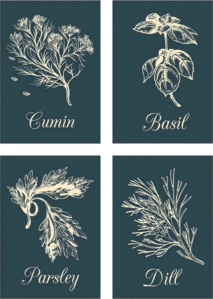 Изображение товара Постеры Citydecor Специи 3 (4шт, 21x30)