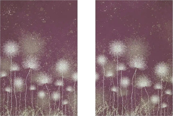 Изображение товара Постеры Citydecor Невесомость 25 (2шт, 40x60)